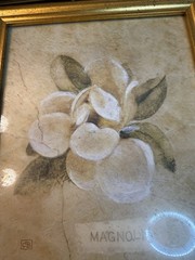 Set of 2 Gold Framed Floral Prints Magnolia Janine’s Garden Bela Bodo Wall Art