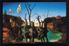Poster Studio B – Dali Swans Reflecting Elephants Graphic 23″x35″ NEW Wall Art