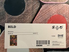 IKEA Bild 36” or Split! Poster Cross Section Color Pencil Neil Overy Photo Print