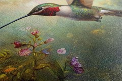 Hummingbird Canvas Print Gallery Wrapped Extra Large Living Room Decor