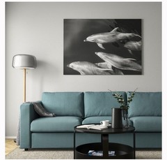 IKEA BJORKSTA Dolphins Poster Picture 55 x 39 ¼ » (Frame not included), NEW