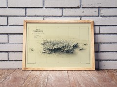 Puerto Rico Map, Puerto Rico 2D Relief Map, Puerto Rico Vintage Map – 2D Flat