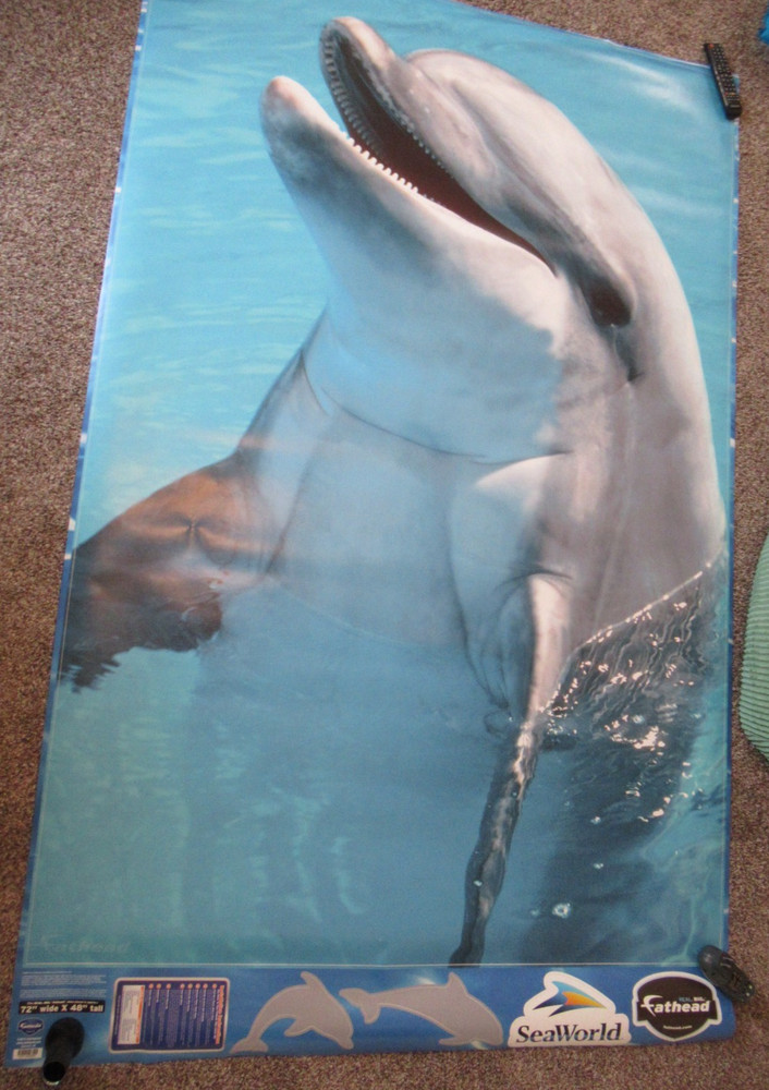 Real Big Fathead Dolphin Seaworld wall poster Large 48×72″ 4×6′