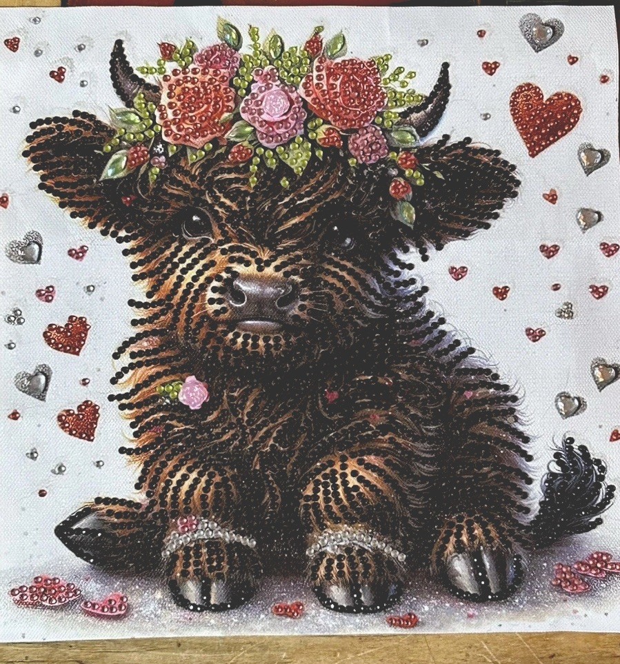 10z10” Beaded Art, Beautiful Highland Cow Finished Diamond Painting Home Decor