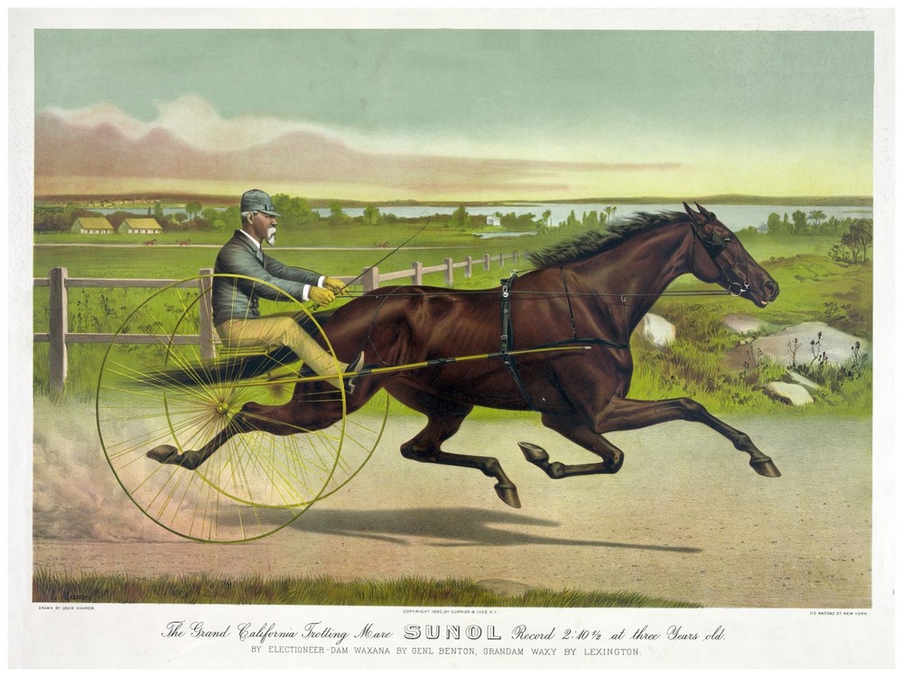4443.The Grand California Trotting Mare.Sunol.POSTER.decor Home Office art