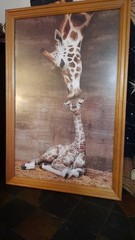 Wooden framed in glass giraffe Picture Mama Kissing baby