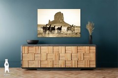 Wild Horse Art, Sepia Prints, Monument Valley, Southwestern Arizona Photography