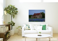 Photography Print Texas Bluebonnets, The Bluebonnet House Marble Falls Texas