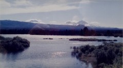 Vintage Framed Landscape Photograph Lake View w/ Mountains Signed 12×15