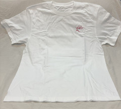 Asahi Super Dry ICHIRO T-shirt L size Rare Used (JAPANESE)