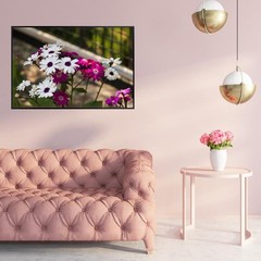 African Daisy Botanical Wall Art Poster – Floral Home Decor Print Unframed