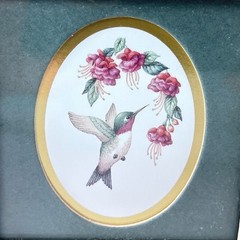 Framed Bird Prints Kathy Seek Ruby Throat Hummingbird Cardinal 1994 Set of 2