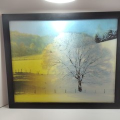 Trends International Tree in Meadow Framed Print 16×20 Horizontal Ready to Hang