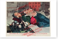 San Francisco Chinatown China Town Opium Den Addicted Cat Poster