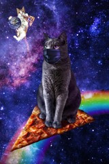 Funny Space Pizza Cats Galaxy Rainbow Art Wall Indoor Room Poster – POSTER 20×30