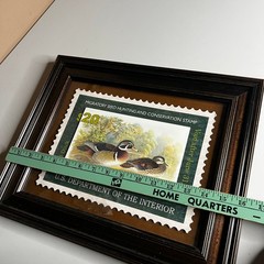 Framed Wood Duck Migratory Bird Hunting Conservation Stamp Print 2007-2008 Art