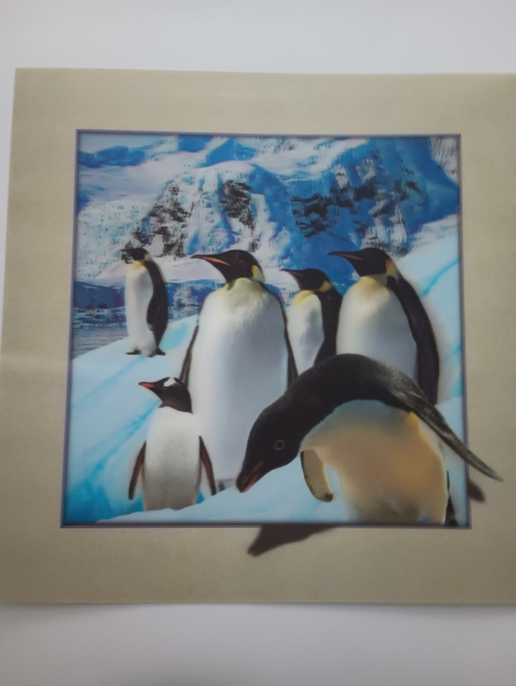 Penguins 3D Lenticular Picture 15.5″ X 15.5″ (Pic 11.5″ X 11.5″ Inset) New