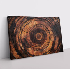 Tree Rings Brown Wood Framed Canvas Wall Art Decor, Nature, Natural Rustic Cabin