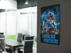 CAROLINA PANTHERS NFL Football Wall Vinyl Decal Poster Print Removable Adhesive