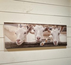 Horizontal Cows Farm Animal Print Wall Decor – White Brown Gray