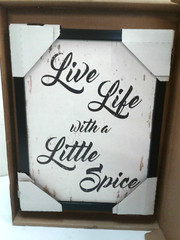SpotColorArt Live Life With Spice Handcrafted Canvas Print 13″ x 17″ White