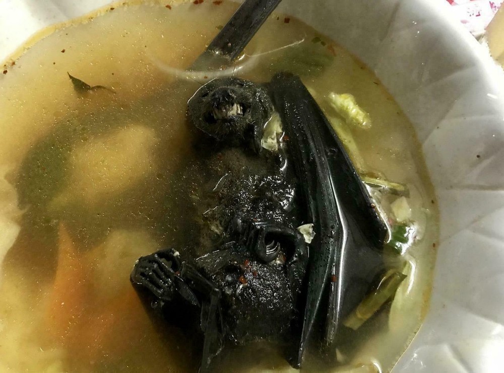 BAT SOUP GLOSSY POSTER PICTURE PHOTO BANNER PRINT nasty gross food chinese 6060