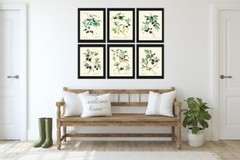 Olive Botanical Wall Art Set of 6 Prints Beautiful Antique Vintage Unframed