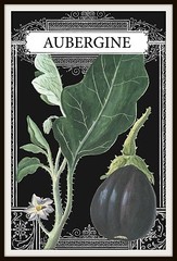 Eggplant Drawing, Eggplant French, French Eggplant, Aubergine 4 x 6″ – 16 x 24″
