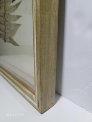 Brown Wood Fern Leaf Framed Wall Art with White Brown Plastic Framed 25.5-in H x
