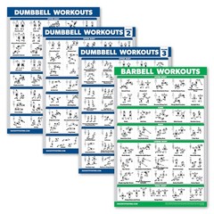 Palace Learning 4 Pack – Dumbbell Workout Posters Volume 18″ x 24″, LAMINATED