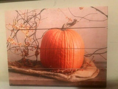 Pumpkin on Burlap Pallet Art Print