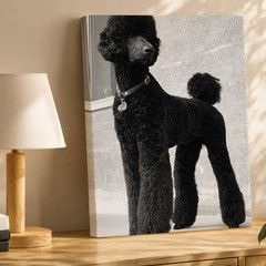 Elegant Black Standard Poodle Dog Canvas Wall Art Large Portrait Print Home