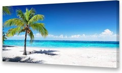 Vibrant Nature Artwork: Ready-to-Hang Canvas Beach Scene – 48″L x 24″W