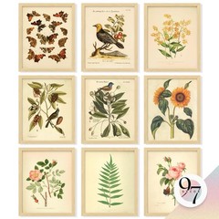 97 Decor Vintage Botanical Wall Art Decor – Plant Posters For Room Aesthetic,…