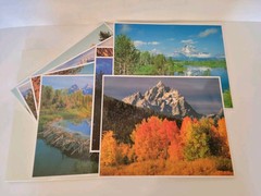Lot of 8 GRAND TETON NATIONAL PARK with Snow Mountain & River Wall 8×10 Prints