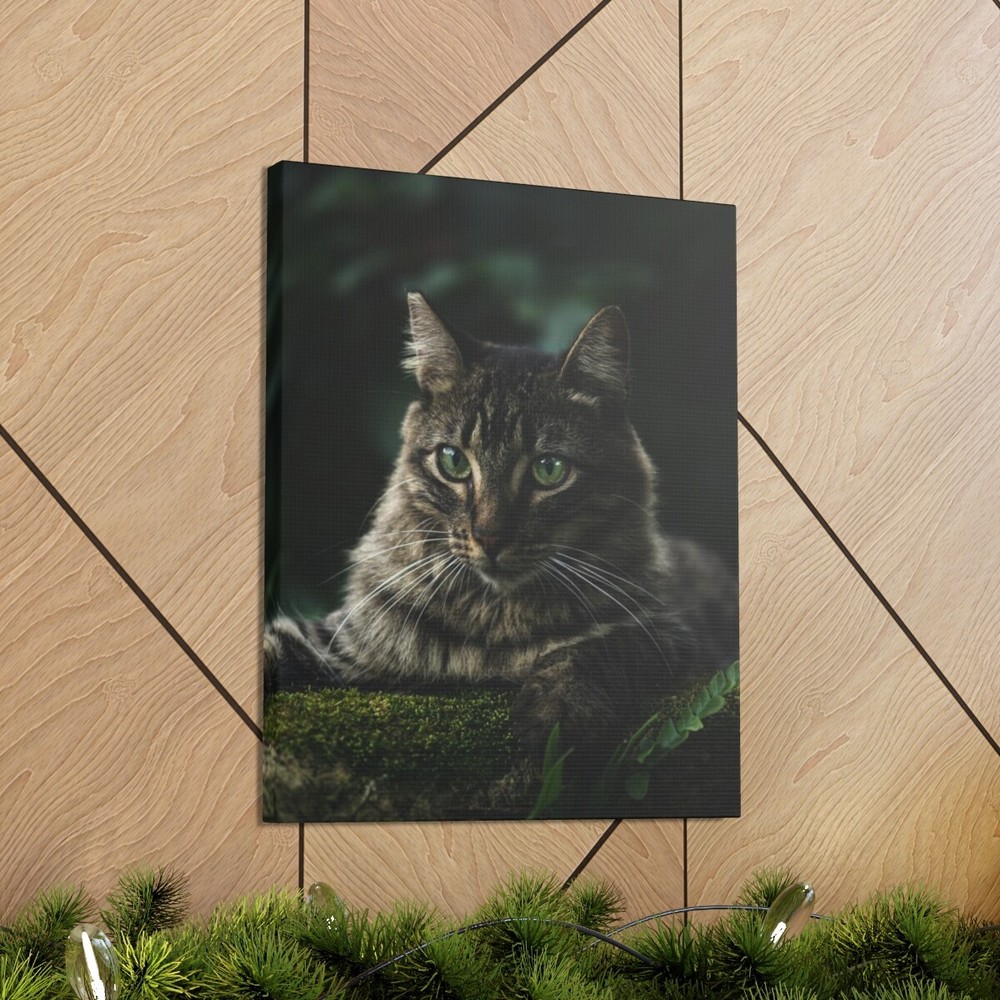 Cat Green Eyes Home Decorations Gift Canvas Gallery New Wraps 100% Cotton 16×20″