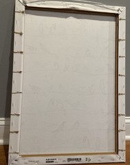 IKEA Pjatteryd Canvas Picture Of Birds In Hangers PSZ 19 3/4 X 27 1/2