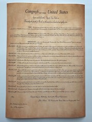 Bill of Rights The United States of America Historical Document Poster 14 x 20