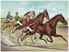 8958.Horses pulling on two wheeled bicycles.POSTER.decor Home Office art