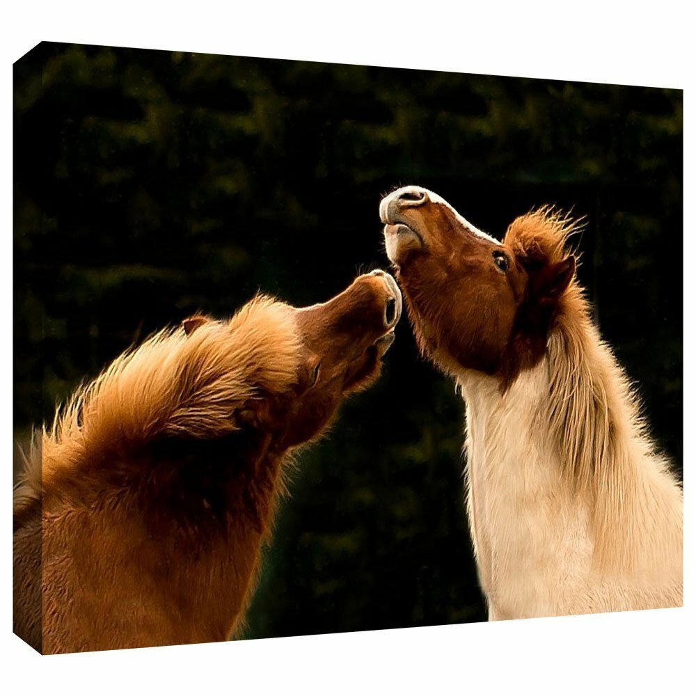 New ArtWall Lindsey Janich «kisssme1a» Unwrapped Canvas Horses Photo 32 x 48