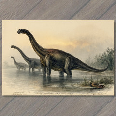 Art Print Long Neck Dinosaurs Wading River Prehistoric Wildlife Illustration