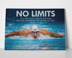 Michael Phelps Swimming Poster or Canvas
