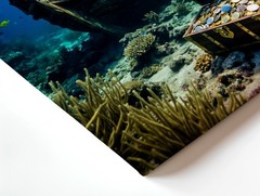 Wall Art Underwater Sunken Pirate Ship Treasure Chest Ocean Coral Canvas Print