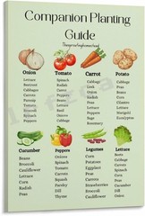 Companion Planting Chart Poster, Garden Reference Educational Wall Art