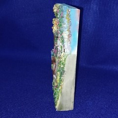 3D Pictures. Set of Two. Resin. 8-3/4″ x 6-3/4″ x 1″ depth. Deck/Patio