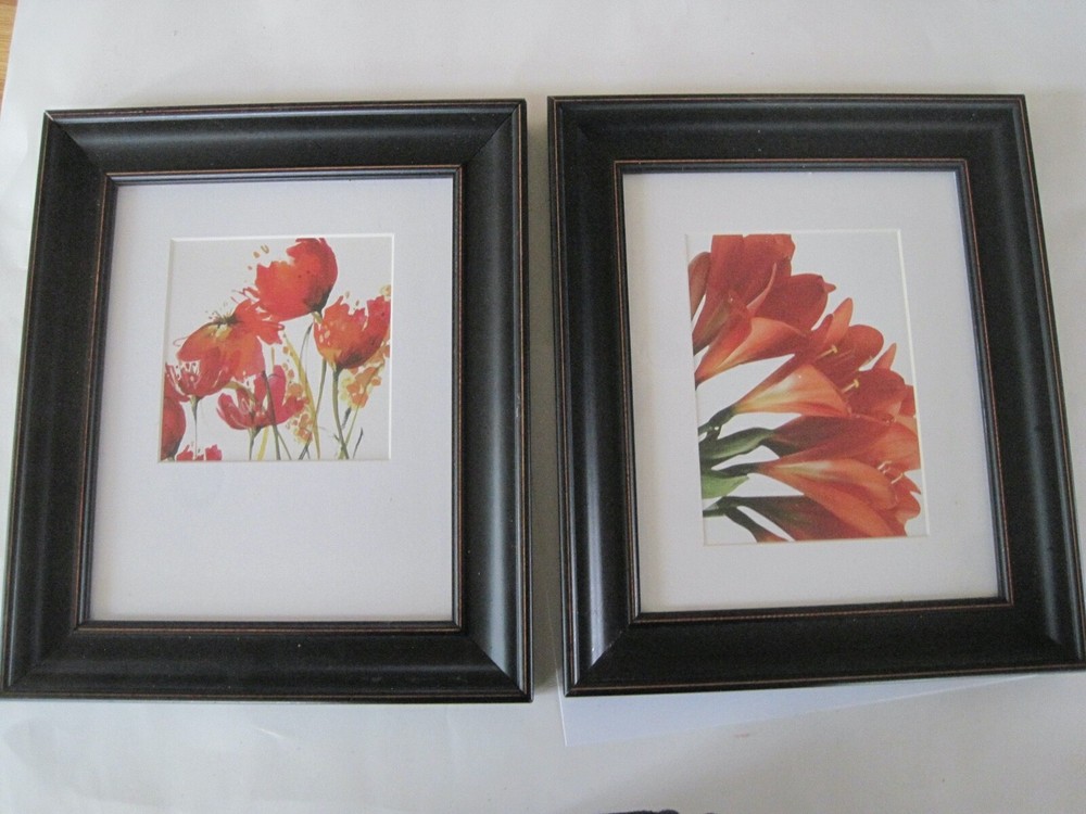 Hobby Lobby Red Flower Prints Framed Black Frame Pair White Mat 11″ x 13″