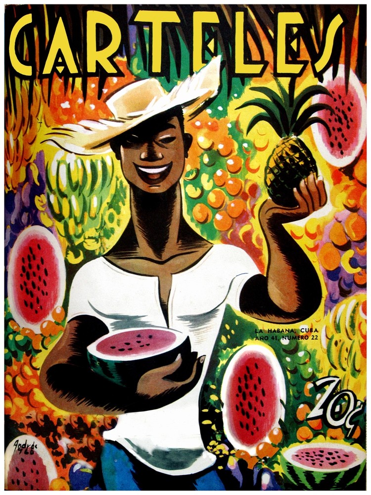 Art Quality Decoration Poster.Room art.Watermelon pinapple seller.6718