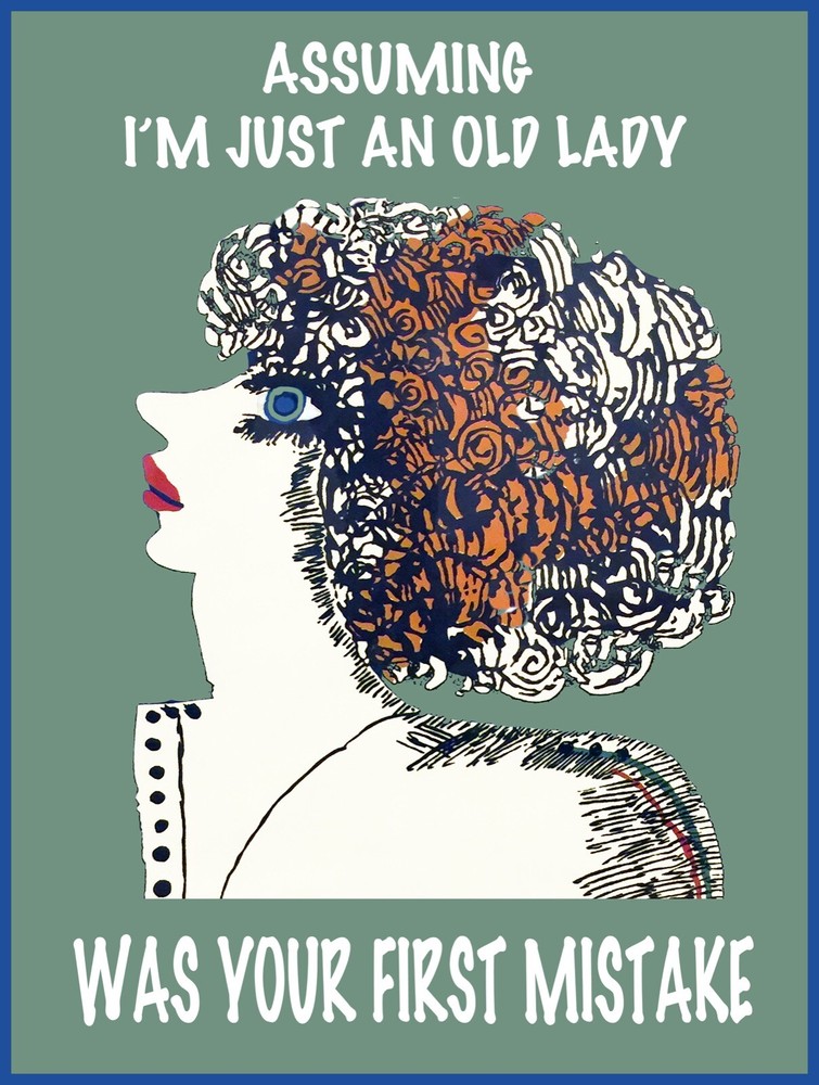 Wall Decor Poster.Interior home room design.Just an Old lady.Your mistake.11626
