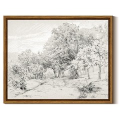 InSimSea Framed Canvas Wall Art, Vintage Forest Landscape Sketch Print, Engli…