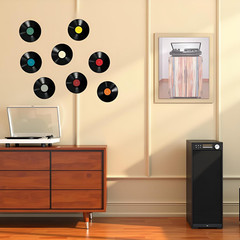 8Pcs 9In Colorful Vinyl Records Decor Wall Stickers, Album Cover Posters Vintage